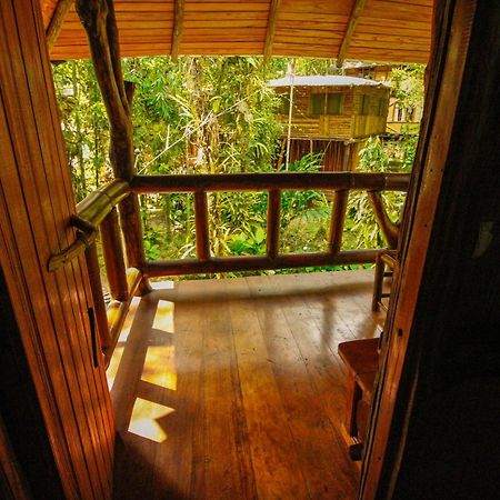 Hosteria Flor De Canela Puyo Dış mekan fotoğraf