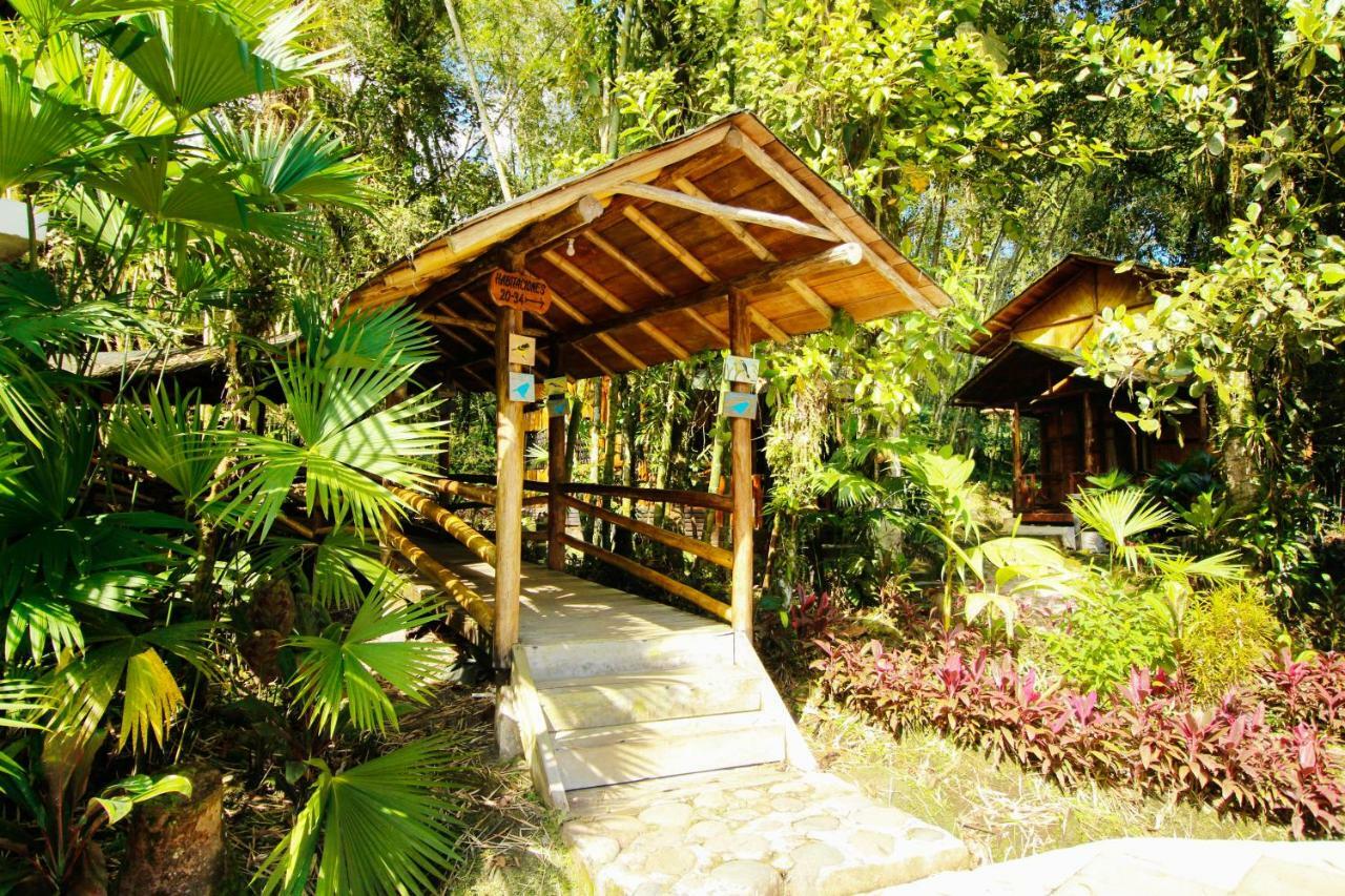 Hosteria Flor De Canela Puyo Dış mekan fotoğraf